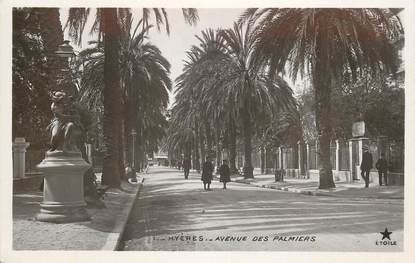 CPA FRANCE 83 "Hyères, avenue des Palmiers" / Ed. ETOILE 