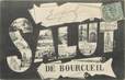 / CPA FRANCE 37 "Salut de Bourgueil"