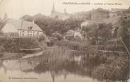 88 Vosge CPA FRANCE 88 " Chatillon sur Saone, la Saone et l'ancien moulin"