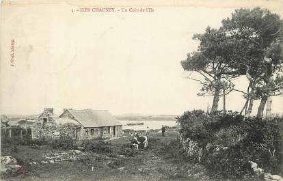 CPA FRANCE 50 "Iles Chausey, un coin de l'Ile"