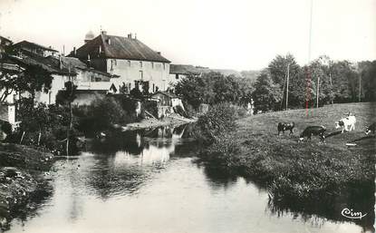 CPSM FRANCE 88   "Monthureux sur Saone, vue du pont du Faubourg"