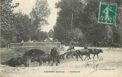  / CPA FRANCE 80 "Ribemont, l'abreuvoir"