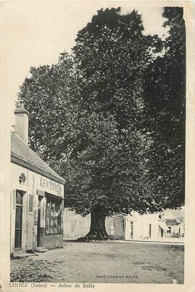  / CPA FRANCE 36 "Liniez, arbre de Sully"