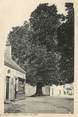 36 Indre  / CPA FRANCE 36 "Liniez, arbre de Sully"