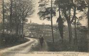 35 Ille Et Vilaine / CPA FRANCE 35 "Chatillon en Vendelais, panorama côté sud"