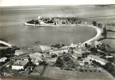 CPSM FRANCE 17 "Talmont sur Gironde"