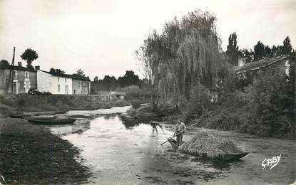 CPSM FRANCE 79 "La Venise Verte, le transport du Foin"