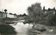 79 Deux SÈvre CPSM FRANCE 79 "La Venise Verte, le transport du Foin"