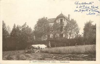 / CPA FRANCE 03 "Saint Pierre Laval, chantalouette"
