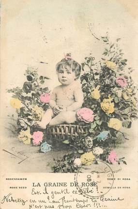 CPA NU  /  ENFANT /  la Graine des Roses