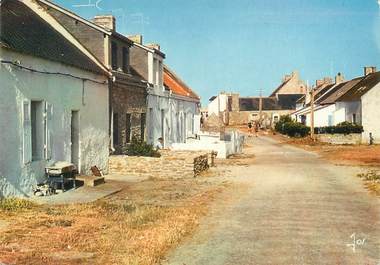 / CPSM FRANCE 56 "Ile de Hoedic, la rue principale du village"