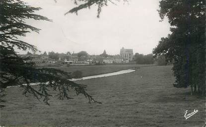 CPSM FRANCE 49 "Le Lion d'Angers, Parc de l'Isle Briand"