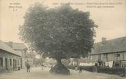 76 Seine Maritime CPA FRANCE  76 "Theuville aux Maillots, place du gros marronnier"