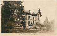 45 Loiret CPA FRANCE 45 "Coullons, les  Desniaux"