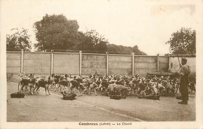 CPA FRANCE 45  "Combreux, le chenil"