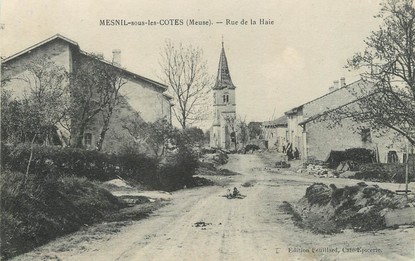 / CPA FRANCE 55 "Mesnil sous les cotes, rue de la Haie"