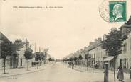 77 Seine Et Marne CPA FRANCE 77 "Souppes sur Loing, la rue de Paris"