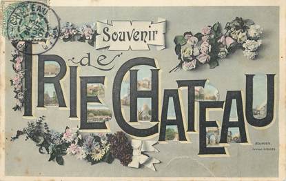 / CPA FRANCE 60 "Souvenir de Trie Château"