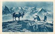 74 Haute Savoie CPA FRANCE 74 "Chamonix, troupeau de chèvres à Plan Praz"