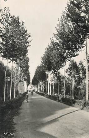 / CPSM FRANCE 36 "Villedieu, allée de Mehun"