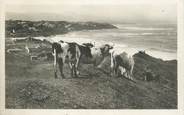 64 PyrÉnÉe Atlantique / CPSM FRANCE 64 "Biarritz vue sur les pyrénnées" / VACHE