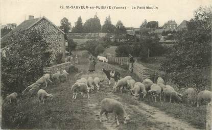 / CPA FRANCE 89 "Saint Sauveur en Puisaye, le petit moulin"