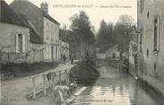 89 Yonne / CPA FRANCE 89 "Saint Julien du Sault, chemin de l'Ile d'Amour"