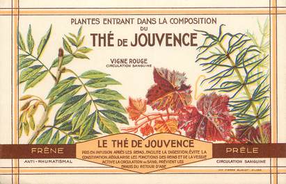 CPA PUBLICITÉ "le Thé de jouvence"