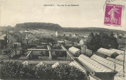 / CPA FRANCE 77 "Thomery, vue des serres Salemon"