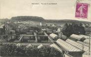 77 Seine Et Marne / CPA FRANCE 77 "Thomery, vue des serres Salemon"