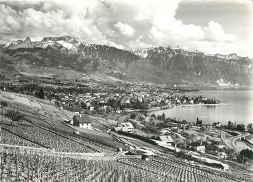 CPSM  SUISSE    "Vevey"