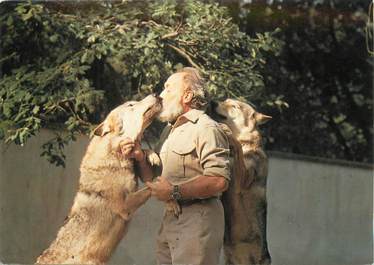 / CPSM FRANCE 72 "La Flèche, Parc Zoologique, Jacques Bouillault" / LOUPS D'EUROPE