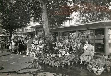 CPSM FRANCE 42 "Saint Etienne, le marché aux fleurs de la place du Peuple"