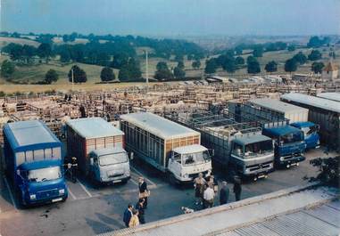 CPSM FRANCE 71 "Saint Christophe en Brionnais, le champ de foire"