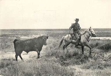 / CPSM FRANCE 13 "Gardian de Camargue" / TAUREAU / CHEVAL