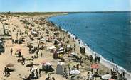 30 Gard CPSM FRANCE 30 "Le Grau du Roi, porte de la Camargue"