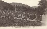 88 Vosge / CPA FRANCE 88 "Remiremont, le cimetière militaire"