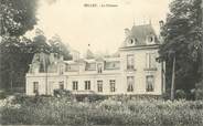 02 Aisne CPA FRANCE 02 "Belleu, le chateau"