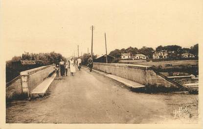 / CPA FRANCE 40 "Vieux Boucau les Bains, avenue des Tamaris"