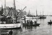 / CPSM FRANCE 29 "Douarnenez, le port, retour de pêche "