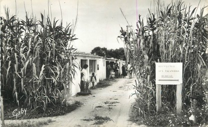 / CPSM FRANCE 17 "Ile de Ré, La Noue" / CAMPING