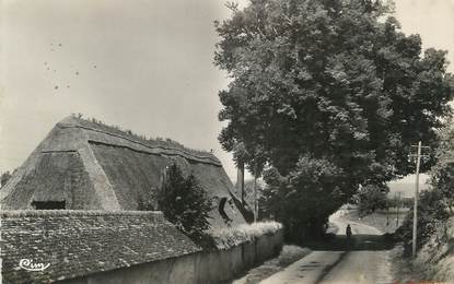 / CPSM FRANCE 27 "Montfort sur Risle, les deux tilleuls classés" / ARBRE NOMME