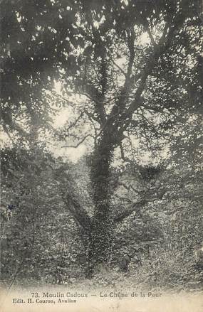 / CPA FRANCE 89 "Moulin Cadoux, le chêne de la peur" / ARBRES NOMME