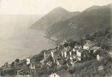 / CPSM FRANCE 20 "Corse, Canari, vue générale "