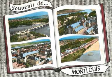 / CPSM FRANCE 37 "MontLouis"