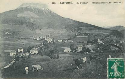 CPA FRANCE 38 "Le Sappey, Chamechaude"