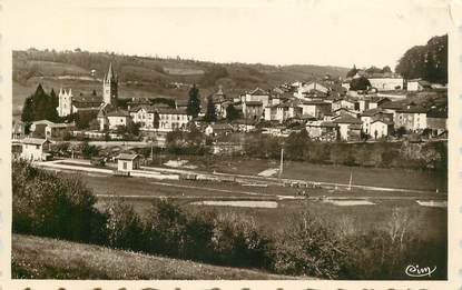 CPSM FRANCE 38 "Roybon, vue générale"