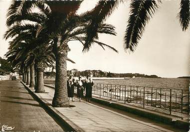 / CPSM FRANCE 83 "Saint Raphaël, la mer et les palmiers"