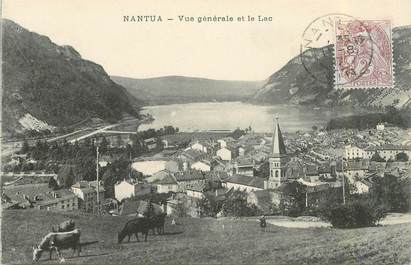 CPA FRANCE 01 "Nantua, vue générale"