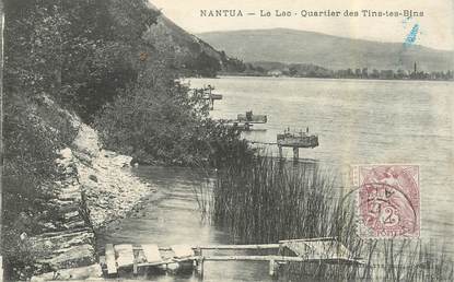 CPA FRANCE 01 "Nantua, uartier des Tins tes Bins"